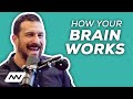 How Your Brain Works | #85 Dr. Andrew Huberman | Human Optimization Hour with Kyle Kingsbury