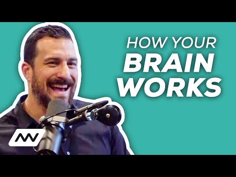 How Your Brain