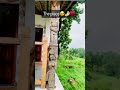 Mainpat 🤌🏻♥️ #youtubeshorts #love #nature #therapy #explore #travel #viralvideo