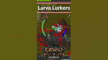 #shorts #tibia #tibiapvp #cipsoft #2dgames #tibiame #ti