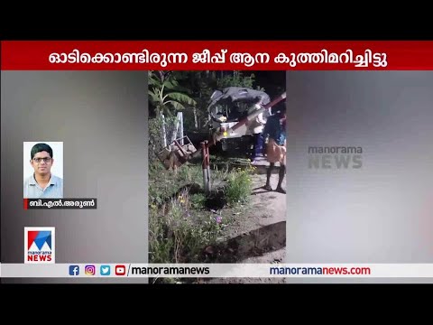 അട്ടപ്പാടി കിണറ്റുകരയില്‍ ഓടിക്കൊണ്ടിരുന്ന ജീപ്പ് കാട്ടാന  കുത്തിമറിച്ചിട്ടു| Attappadi jeep