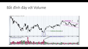 Để trở thành Pro Trader Bài 14  Volume giao dịch là gì  Hướng dẫn chi tiết sử dụng công cụ Volume