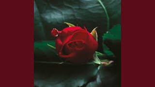 Sweet Pain R D Division Remix