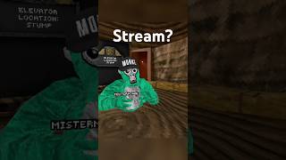 Do You Guys Want A Stream?