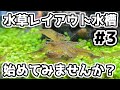 水草レイアウト水槽を立ち上げる #3「水草のトリミングしてみませんか?」【60センチハイタイプ水槽】