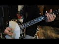 Salt spring bluegrass 5  string  randy white banjo