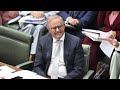 ‘Cocky’ Anthony Albanese scrutinised for ‘smug triumphalism’ in parliament