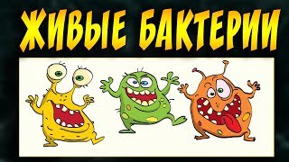 ЖИВЫЕ БАКТЕРИИ ДЛЯ АКВАРИУМА! ПРАВДА ИЛИ ЛОЖЬ? ТРЕБУЕТСЯ ТЕСТИРОВЩИК! АУЛОФОРУС, ДАФНИЯ, СИСТЕМА СО2 ЖИВЫЕ БАКТЕРИИ ДЛЯ АКВАРИУМА! ПРАВДА ИЛИ ЛОЖЬ? ТРЕБУЕТСЯ ТЕСТИРОВЩИК! АУЛОФОРУС, ДАФНИЯ, СИСТЕМА СО2