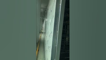 Pulp Tray Drying in the drying room