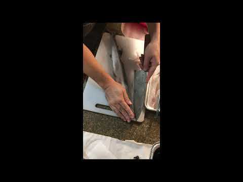 Needlefish filleting September