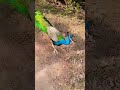 Https V Kuaishou Com 2HNlPZp Navinthakor N9s Shared A New Post In Kwai Let S Have Https V Kuaishou Com 2HNlPZp Navinthakor N9s Shared A New Post In Kwai Let S Have