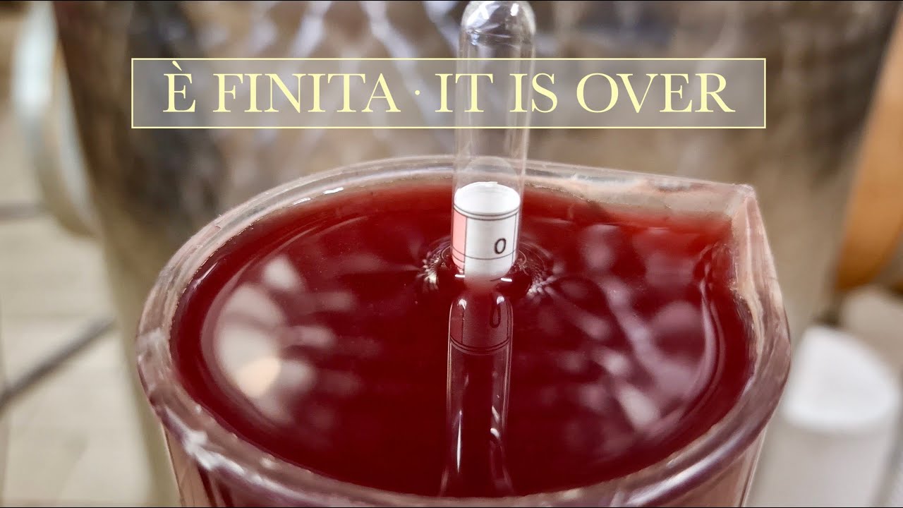 EP34- Com'è andata la fermentazione? | How did the fermentation go?
