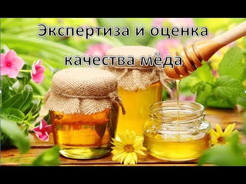 Мед. Часть 1. Экспертиза и оценка качества меда. Мед натуральный. Мед ...