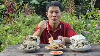 Cooking Palm Family Tree Stems | Rainforest Food Brought Home to the Farm | Solo Survival