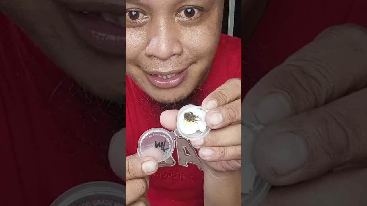 May tindang gagamba narin sa shoppee part2. | Macotv