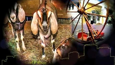 Kizoa Movie Maker: Karl F. Rose  year in review 2015 l Video editing