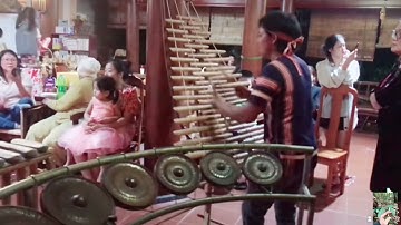 BÓNG CÂY KƠNIA - ĐÀN T’RƯNG