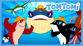 Ocean Rangers✨ | Protect Our Ocean!🌊 | Marine Debris | Animal Comics | Kids Song | TOMTOMI