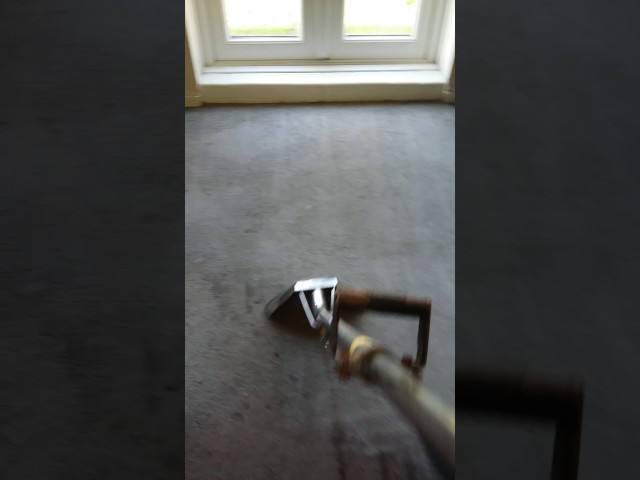 Heavy Duty Carpet Steam Cleaning