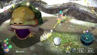 Pikmin 3 DX Randomizer Day 11 (successful Run)