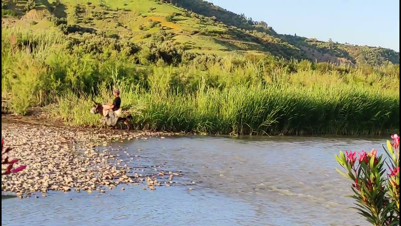 بني وليد تاونات حيث توجد متعة العين | مناظر طبيعية خلابة
