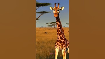 Meet Your 3D Animal Friends - Giraffe, Bear, Frog