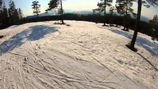 Ringkollen