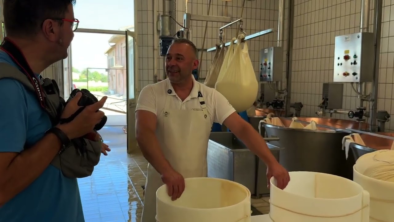 Caseificio Mondo piccolo Fontanelle di Roccabianca Pr