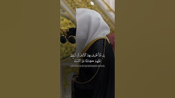 تلاوة رائعة للشيخ عبدالله القرافي. 🎧