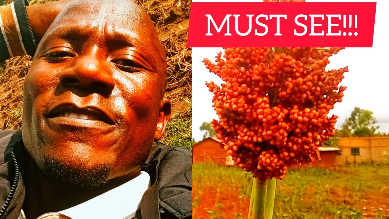 You Won’t Believe These Beautiful Plants in My Area 🌿😍