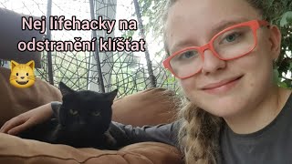 Tak o tomto jsi vážně nevěděl! Co dělat aby kočička  neměla klíště tutorial.
