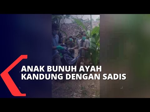 Video: Wanita Membunuh Bapa Yang Tidak Sah Dengan Membakarnya Dengan Air Mendidih