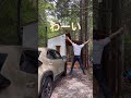 山小屋へ久しぶりに来て嬉しさ全開！#山小屋暮らし #山購入 #山小屋作り #shorts #short