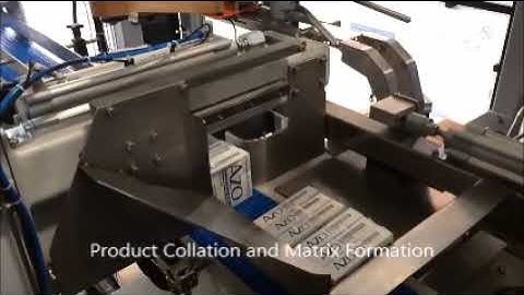 Carton Bundle Side Load Case Packer