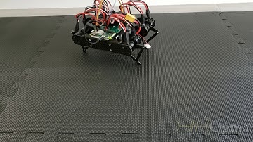 Lorcan Mini Quadruped Reinforcement Learning with AOgmaNeo