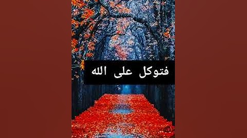 قرآن كريم koran kareem  القارئ المصري محمد أسامه Mohamed osama