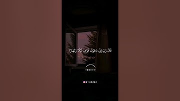 أجمل حالات واتس اب قرأن بصوت القارئ ماهر المعيقلي/#سورة_نوح #القرآن_الكريم #ماهر_المعيقلي/#quran