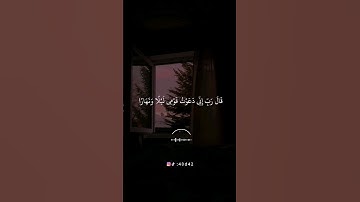 أجمل حالات واتس اب قرأن بصوت القارئ ماهر المعيقلي/#سورة_نوح #القرآن_الكريم #ماهر_المعيقلي/#quran