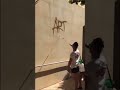 Trash – street artist Barcelone, arte urbano Barcellona, urban art clip