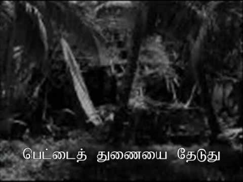 Thennankeetru Oonjalilaewith lyrics in Tamil Padhai Theriyudhu Par Audio