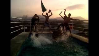 Harlem Shake Cua