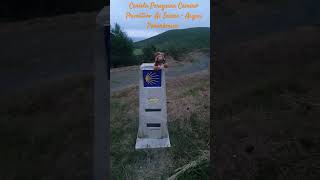 Carlota Peregrina Caminó Primitivo, Etapa11, As Seixas - Arzua, Panorámica. #nature #travel