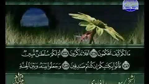 سورة الصافات من الآية 154 الى الآية 182