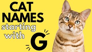 100+ Cat Names Starting With 'G' | Boy and Girl Cat Names | G Cat Names by Dog and Cat Names 305 views 1 year ago 7 minutes, 56 seconds