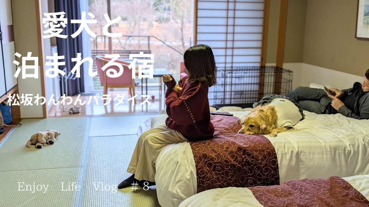 愛犬と泊まれるコスパの良い宿【松阪わんわんパラダイス】