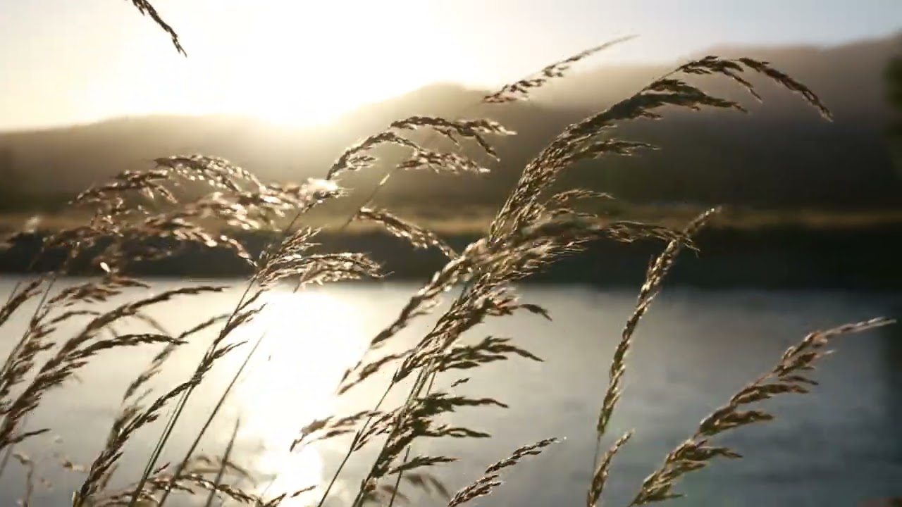 Beautiful nature 😍 YouTube