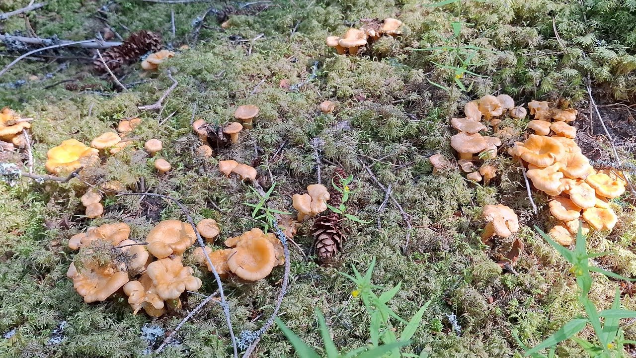 จุดเดียวพอเยอะเกิน