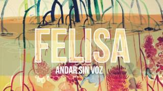 Watch Felisa Andar Sin Voz video