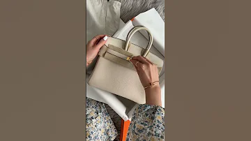 Hermes Birkin 25 Unboxing Ultimate DREAM BAG Shorts Asmr 