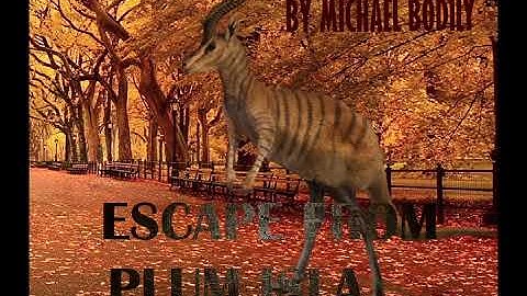 AVI uncompressed custom